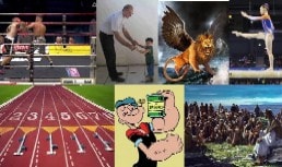 Timothée Étude Biblique